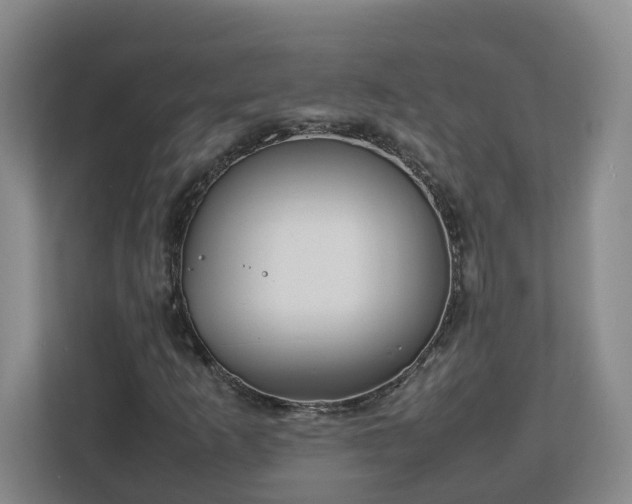 X0000113031253200909031244