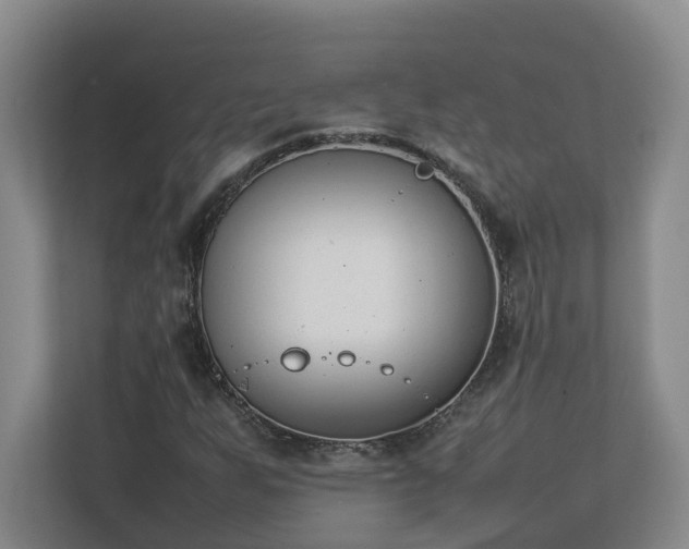 X0000113031255200909031244