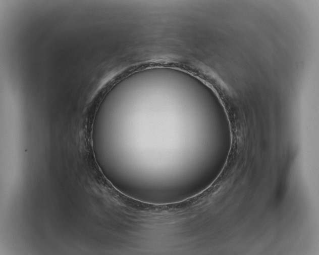 X0000113031256200909031244