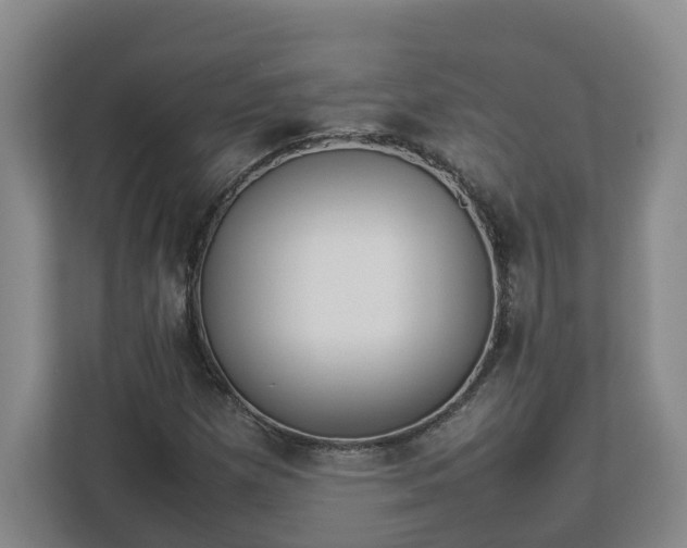 X0000113031257200909031244