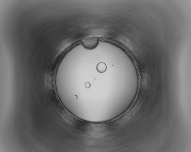 X0000113031258200909031244