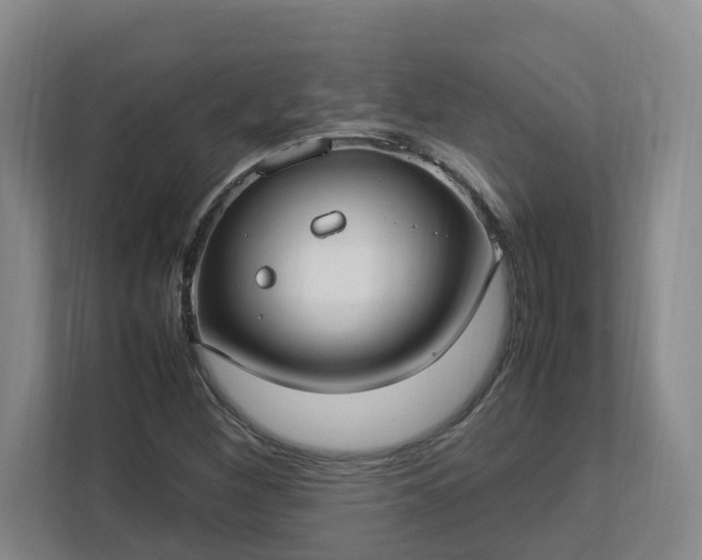 X0000113031260200909031244