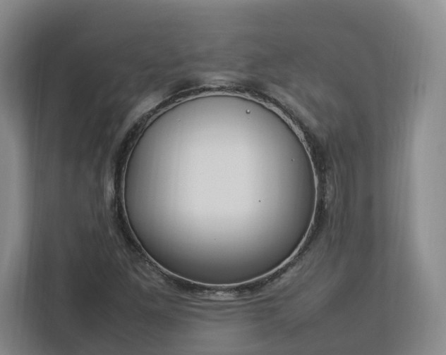 X0000113031261200909031244