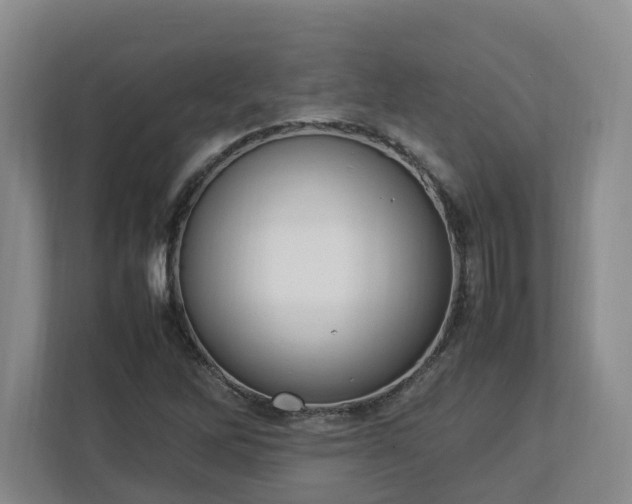 X0000113031262200909031244