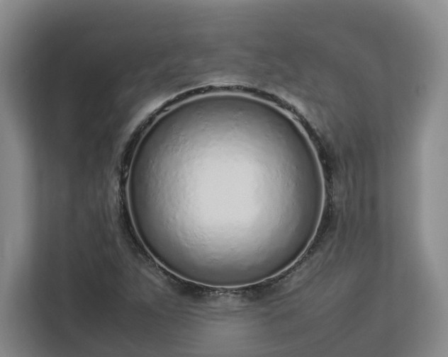 X0000113031263200909031244