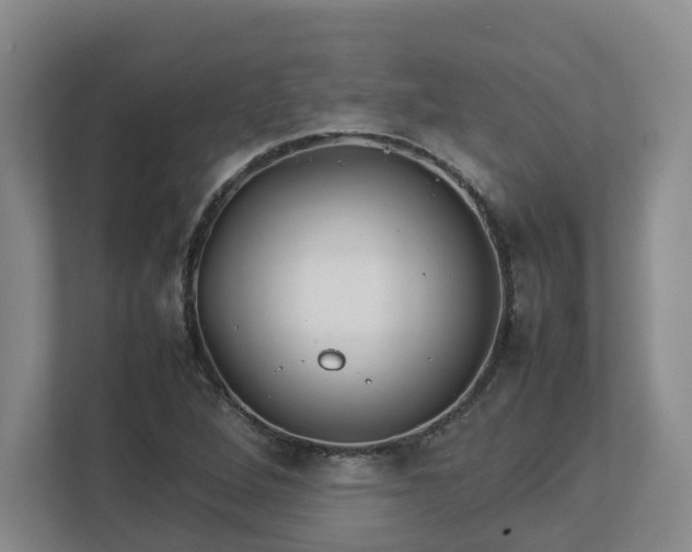 X0000113031264200909031244