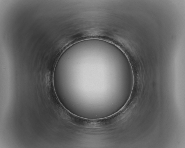 X0000113031265200909031244