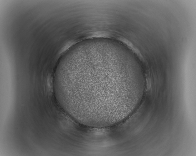 X0000113031266200909031244