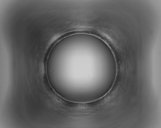 X0000113031267200909031244