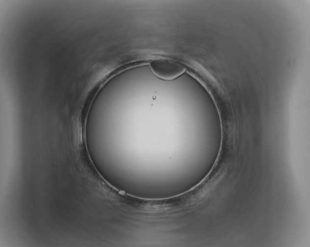 X0000113031269200909031244