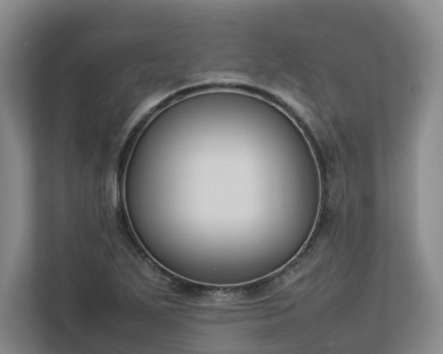 X0000113031271200909031244