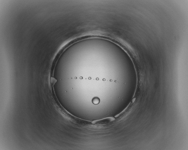 X0000113031272200909031244