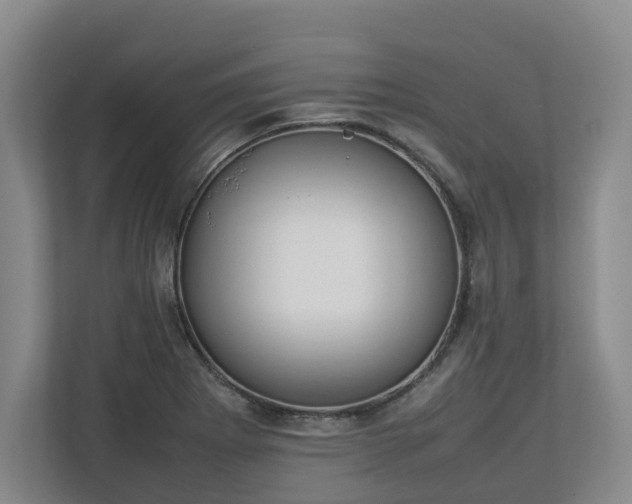 X0000113031273200909031244