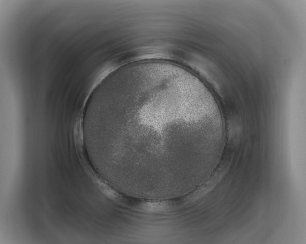 X0000113031274200909031244