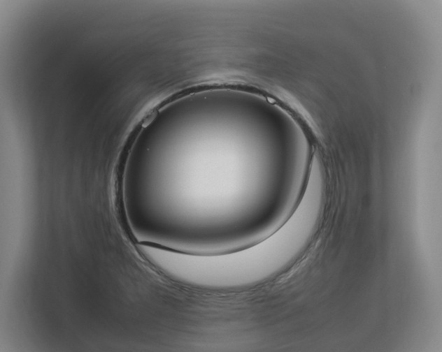 X0000113031277200909031244