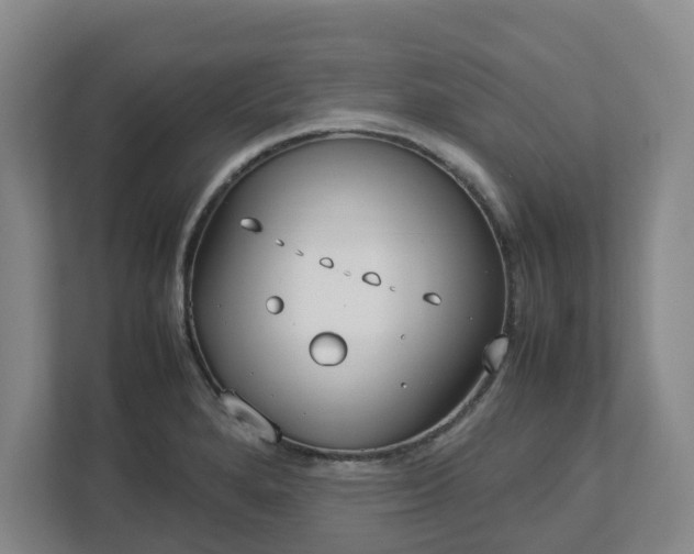 X0000113031280200909031244