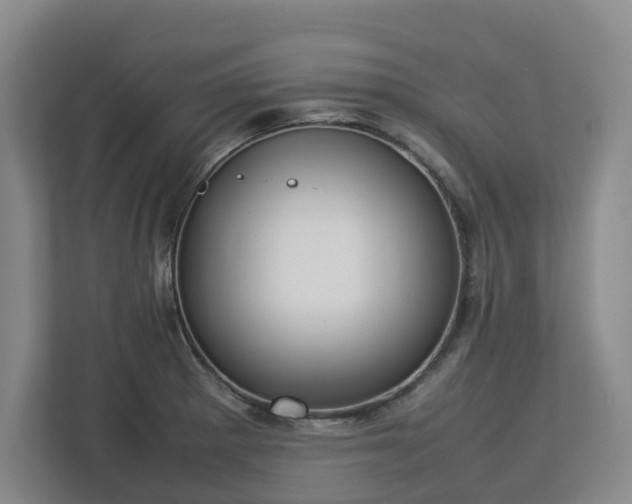 X0000113031281200909031244