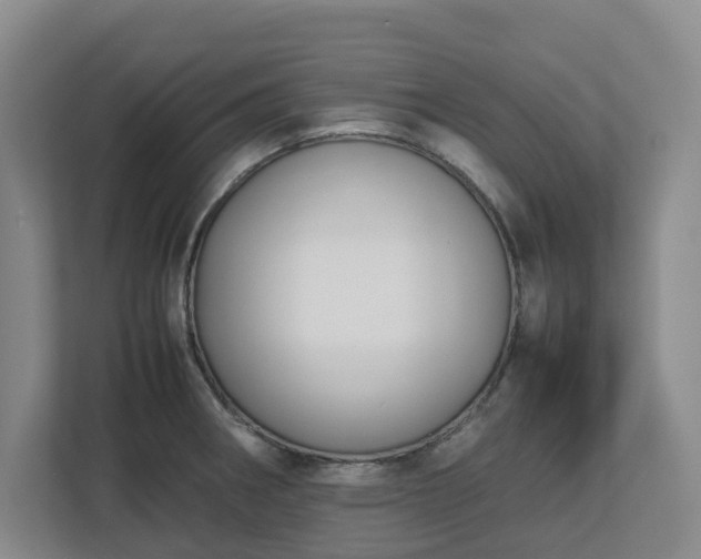 X0000113031282200909031244