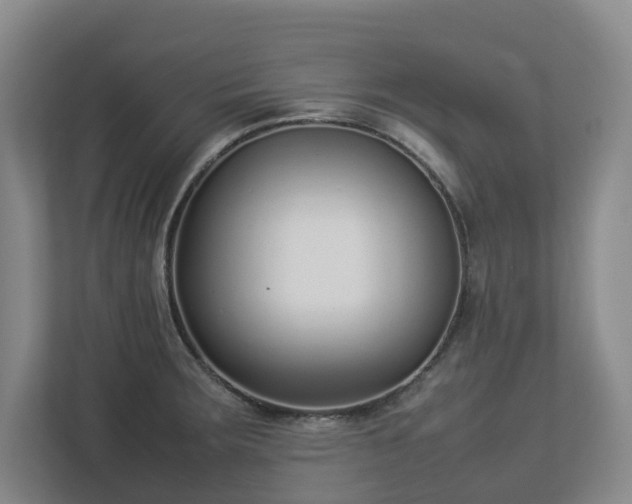 X0000113031283200909031244