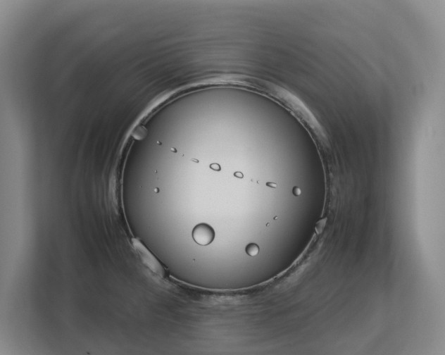 X0000113031284200909031244