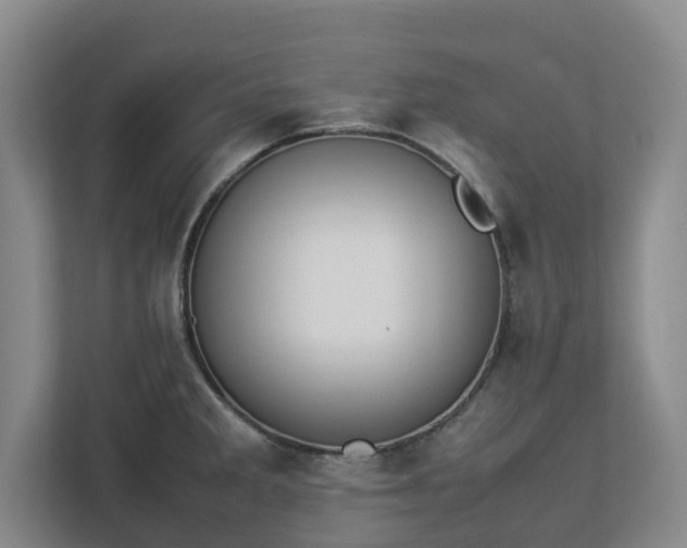 X0000113031285200909031244