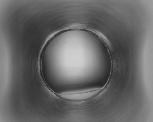 X0000113031288200909031244