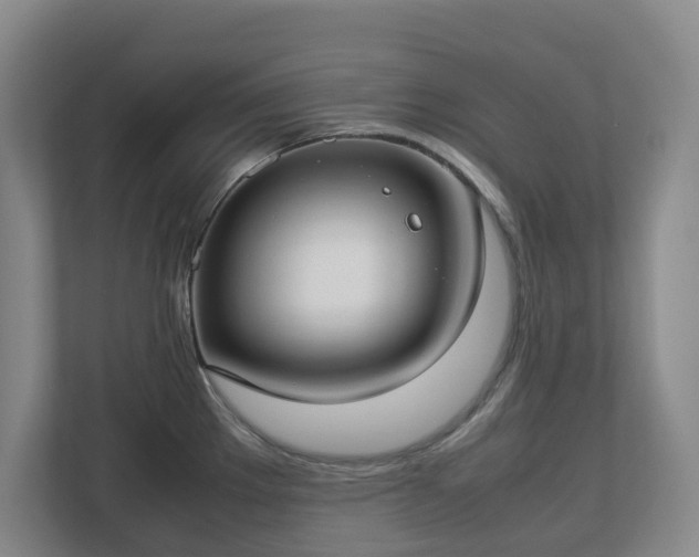 X0000113031289200909031244