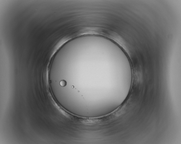 X0000113031290200909031244