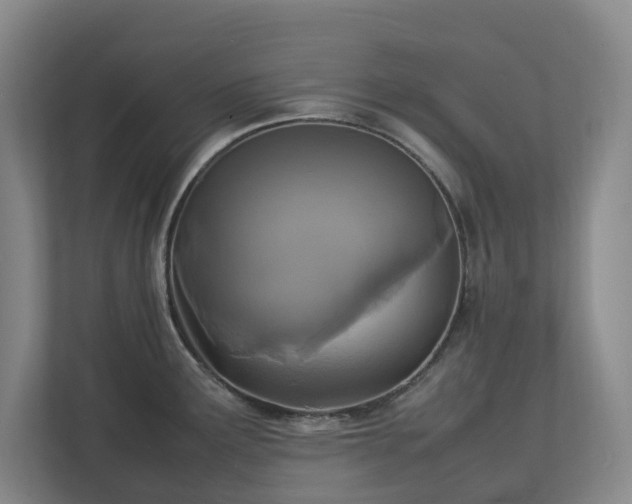 X0000113031291200909031244