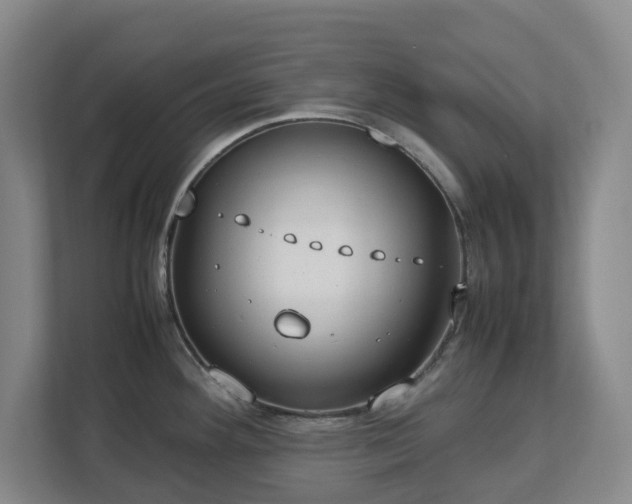 X0000113031292200909031244