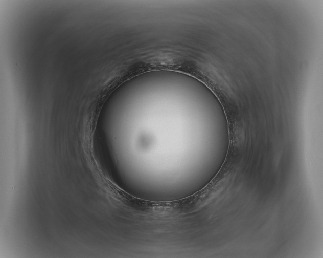 X0000113031297200909031243