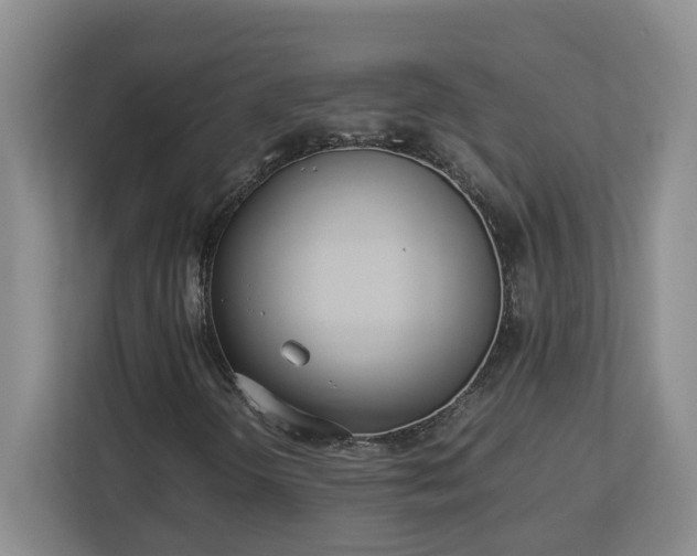 X0000113031298200909031243