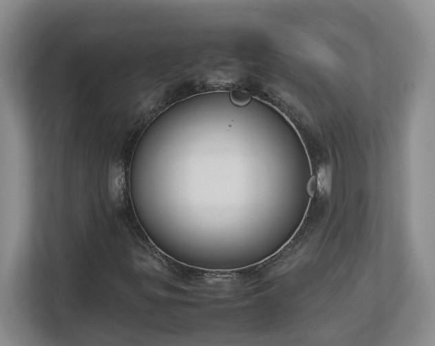 X0000113031299200909031243