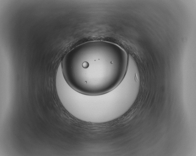 X0000113031300200909031243