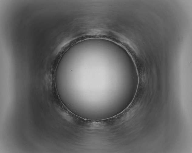 X0000113031304200909031243