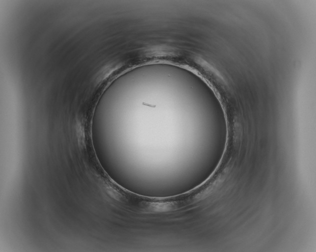 X0000113031305200909031243