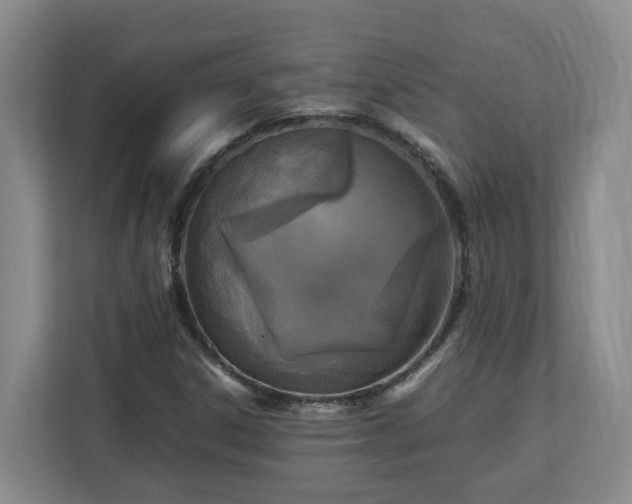 X0000113031306200909031243