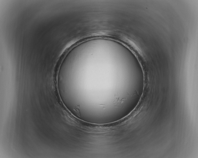 X0000113031308200909031243