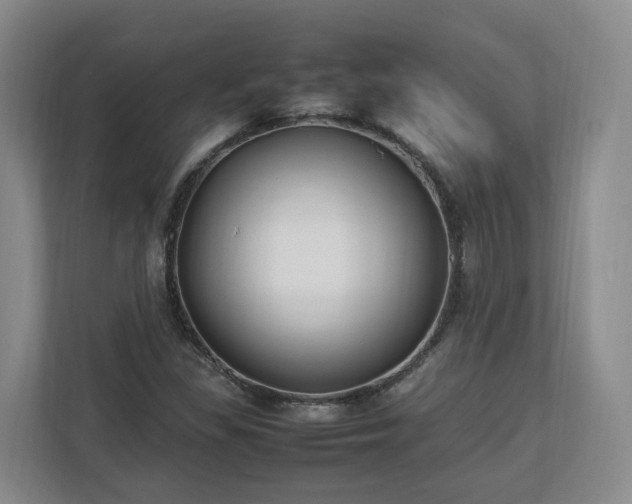 X0000113031309200909031243