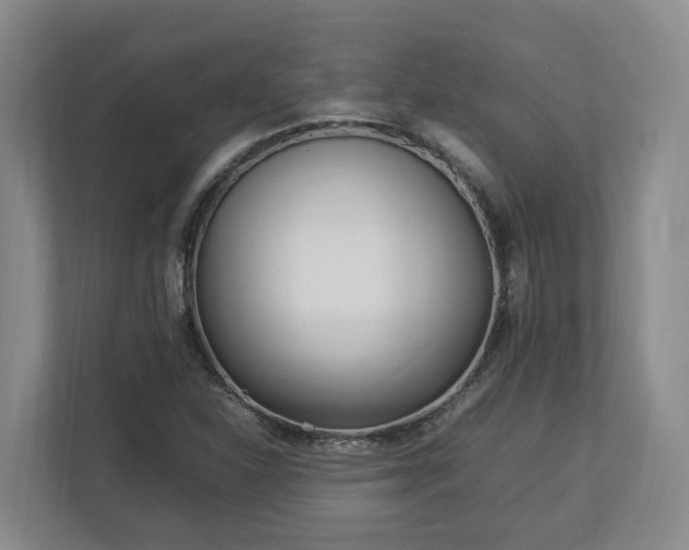 X0000113031310200909031243