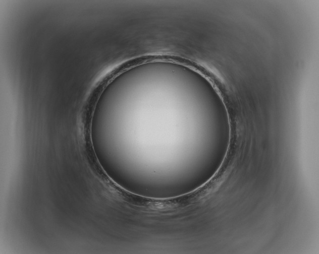 X0000113031311200909031243