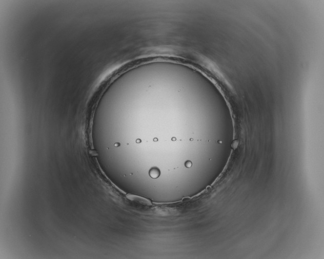 X0000113031312200909031244