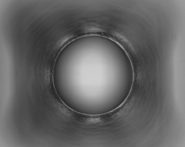 X0000113031313200909031244