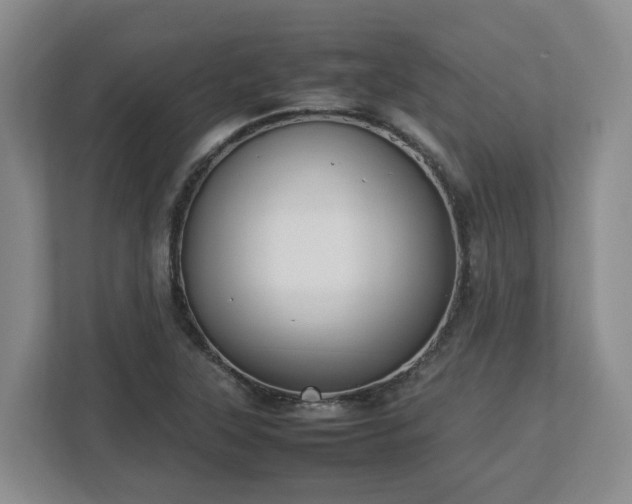 X0000113031315200909031244