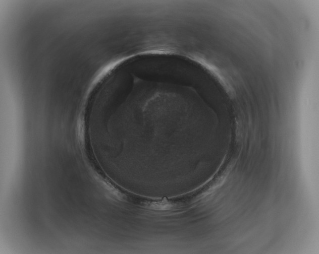 X0000113031319200909031244