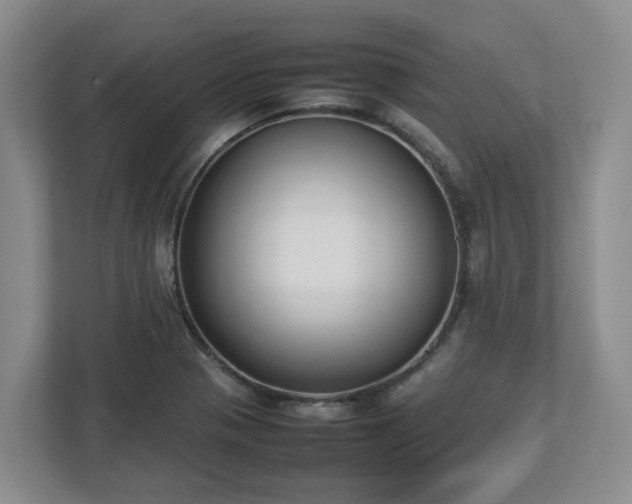 X0000113031321200909031244