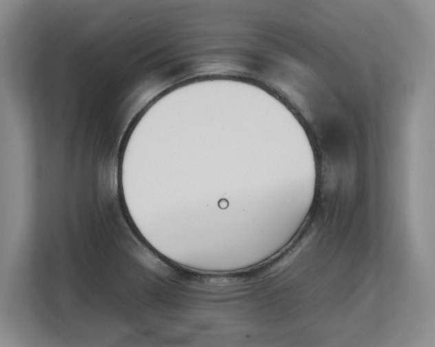 X0000113031322200909031244