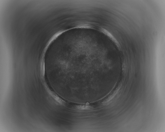 X0000113031323200909031244