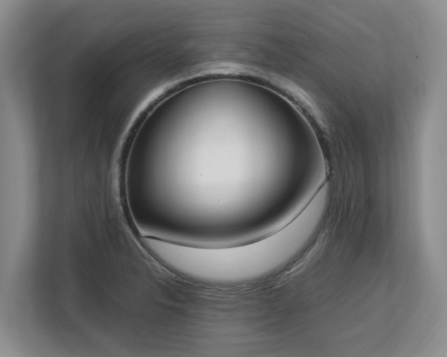 X0000113031326200909031244