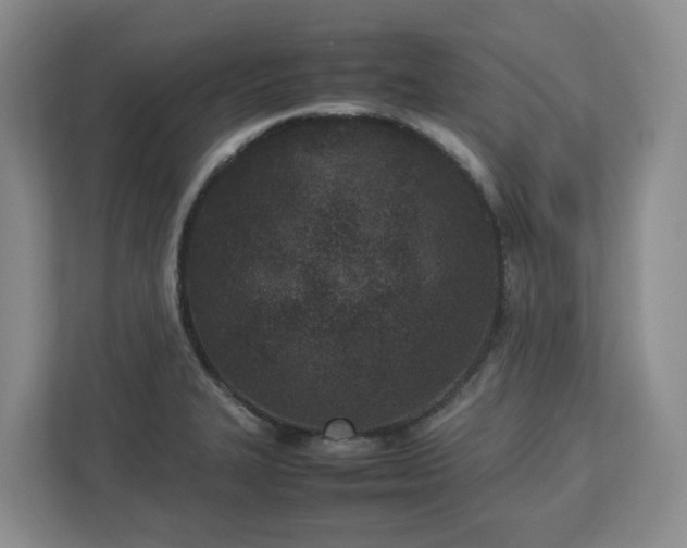 X0000113031327200909031244